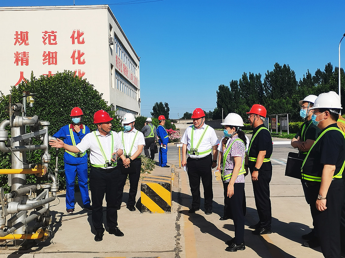 5月26日，国务院安委会综合检查组魏丽萍（右四）一行，在河北省、保定市、徐水区有关领导陪同下，前往河北8868体育督导检查安全生产相关工作，该公司总经理周文乾（左二）热情接待。.jpg