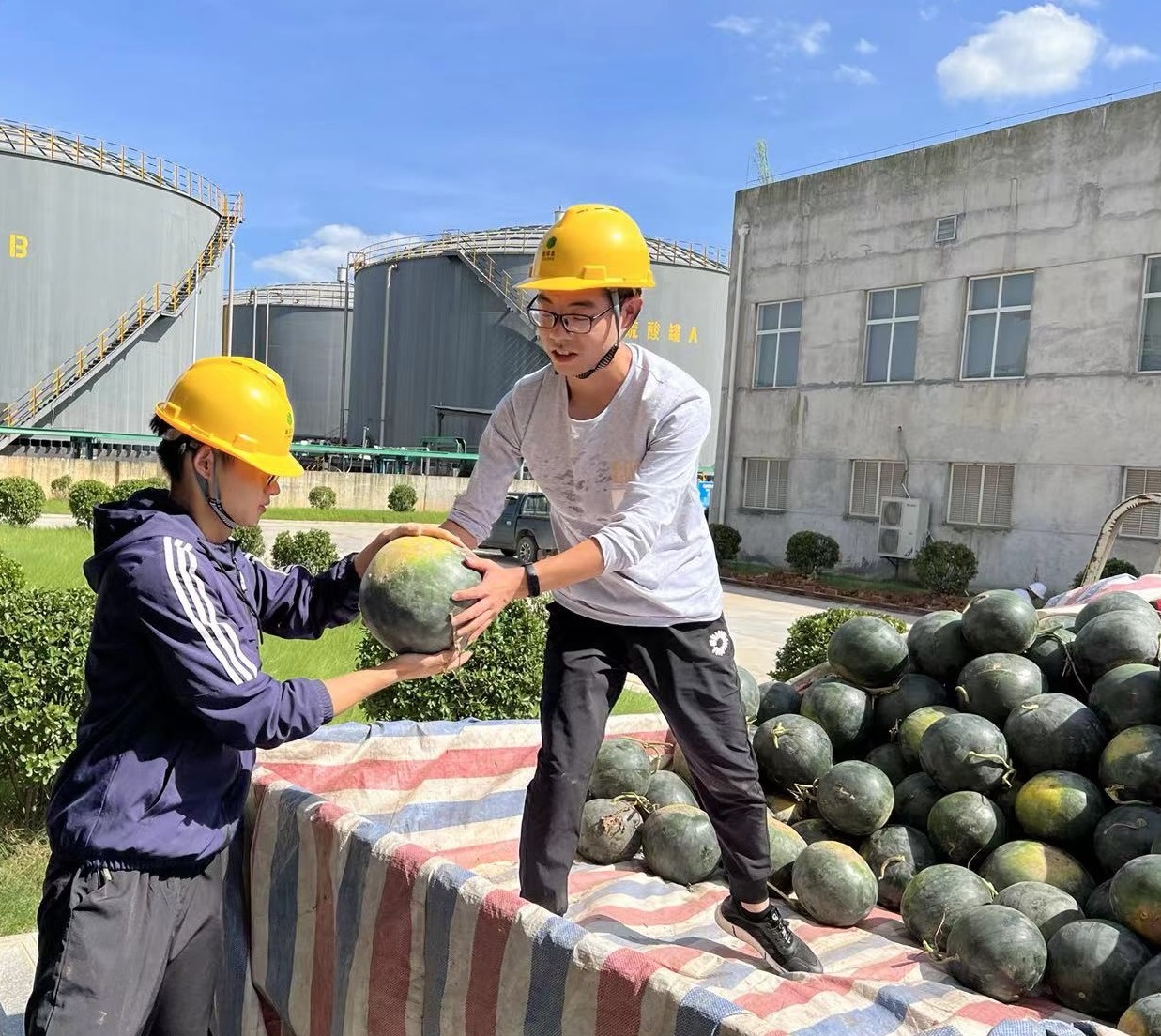 宜昌8868体育为职工准备西瓜.jpg